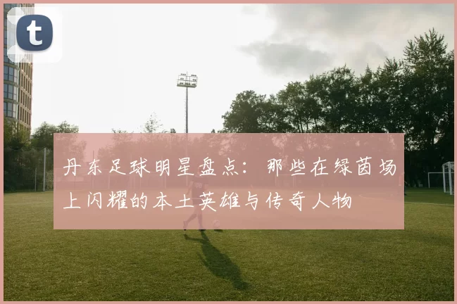 丹东足球明星盘点：那些在绿茵场上闪耀的本土英雄与传奇人物