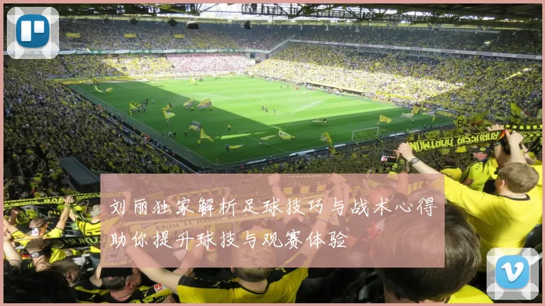 刘丽独家解析足球技巧与战术心得助你提升球技与观赛体验