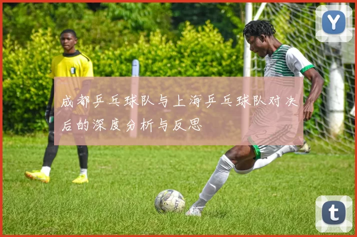 成都乒乓球队与上海乒乓球队对决后的深度分析与反思