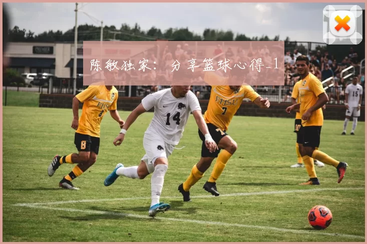 陈敏独家：分享篮球心得_1