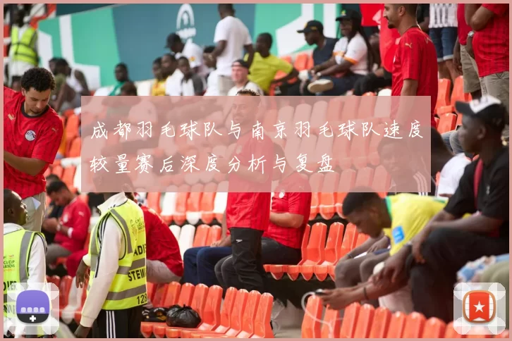 成都羽毛球队与南京羽毛球队速度较量赛后深度分析与复盘