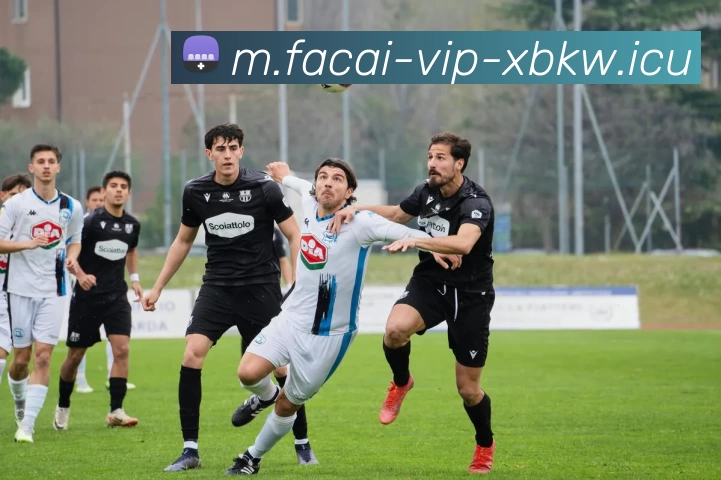 爱游戏体育注册发展历程