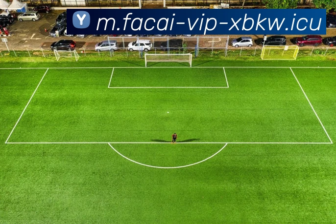 刘丽独家解析足球技巧与战术心得助你提升球技与观赛体验